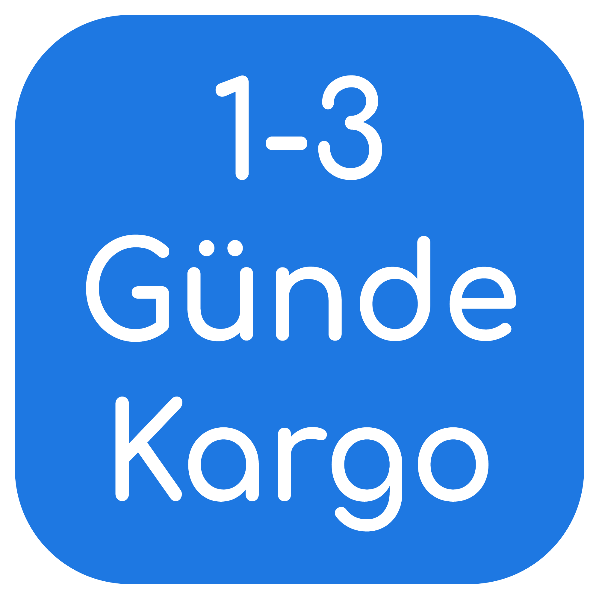 1-3 Günde Kargo