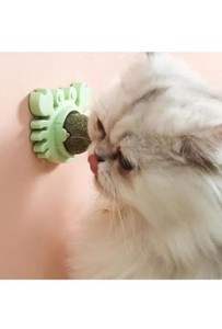 Yengeç Kedi Otu Oyun Topu