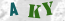 Güvenlik Resmi