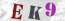 Güvenlik Resmi